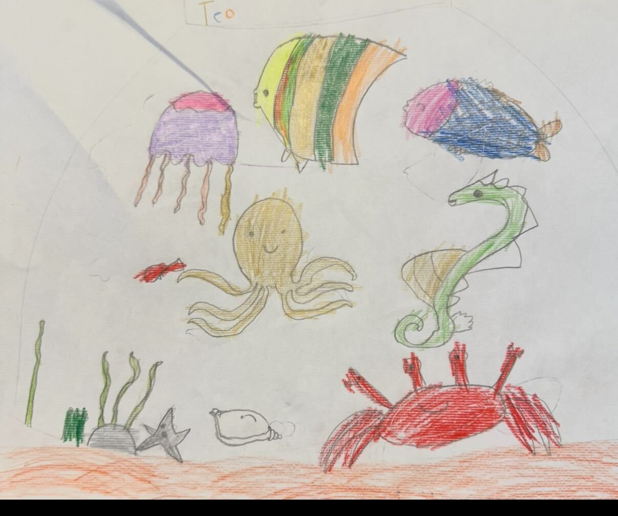 Child's drawing
